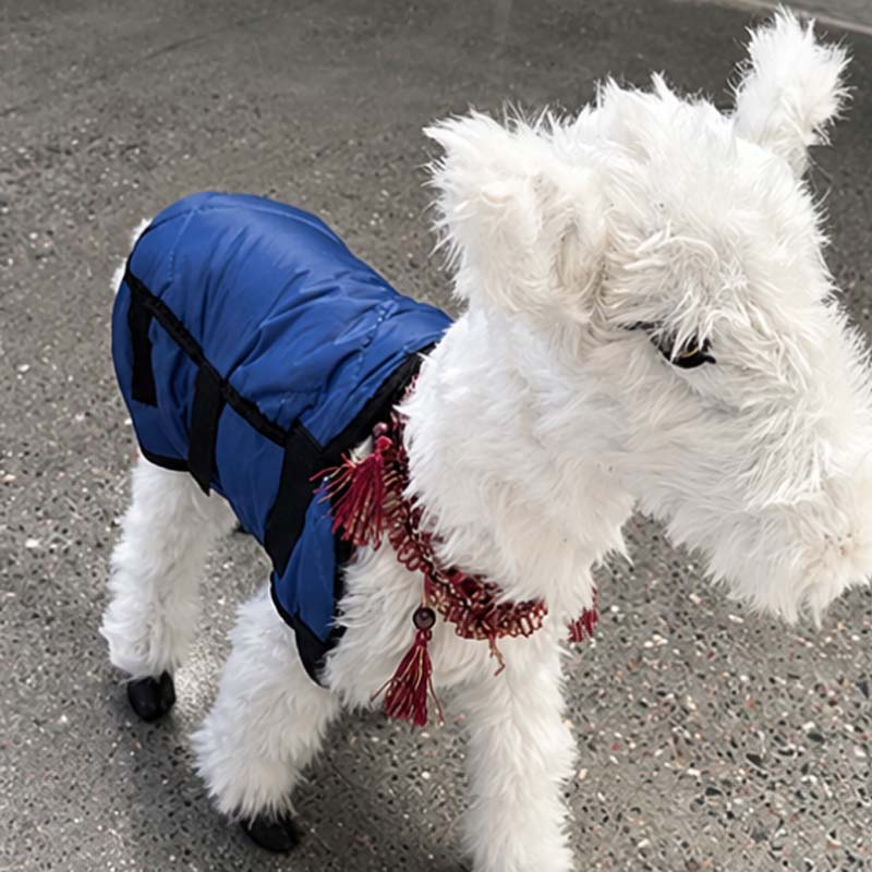 Sheep Protective Vest - Image 2