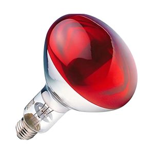 Infrared Heat Lamp Bulb